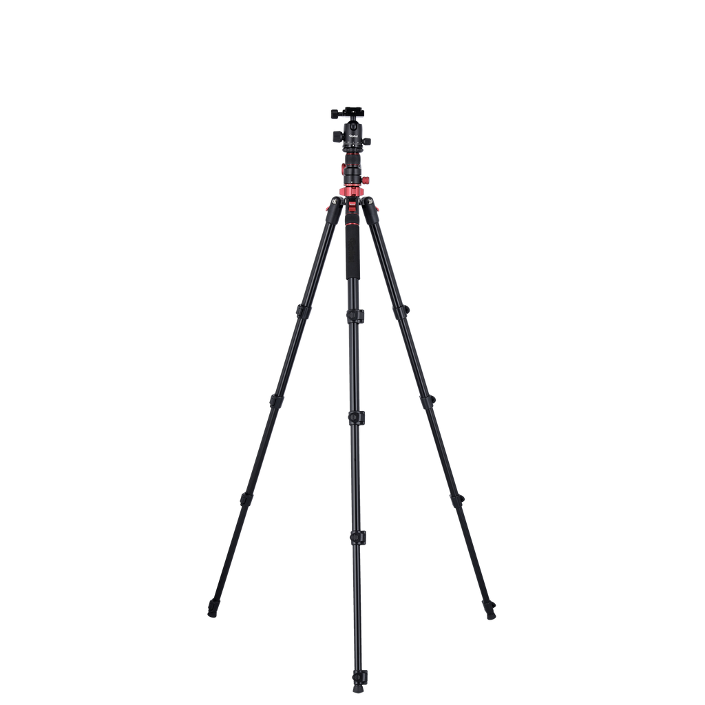 Stativ I Compact Traveler No.2 XL I Foto