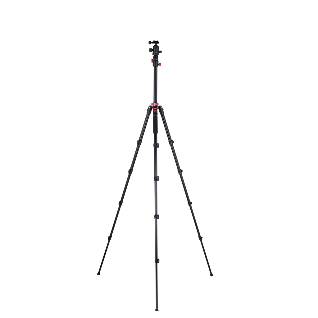 Stativ I Compact Traveler No.2 XL I Foto